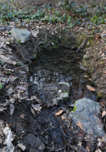 DGC_8674